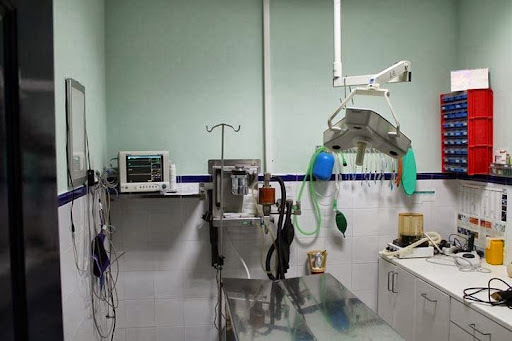 Jayda Clínica Veterinaria en Tomelloso