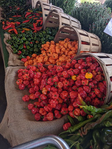 Farm «Alstede Farms», reviews and photos, 1 Alstede Farms Ln, Chester, NJ 07930, USA