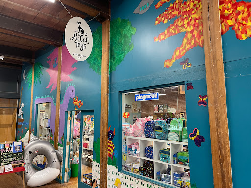 Toy Store «Ali Cat», reviews and photos, 200 N Greensboro St, Carrboro, NC 27510, USA