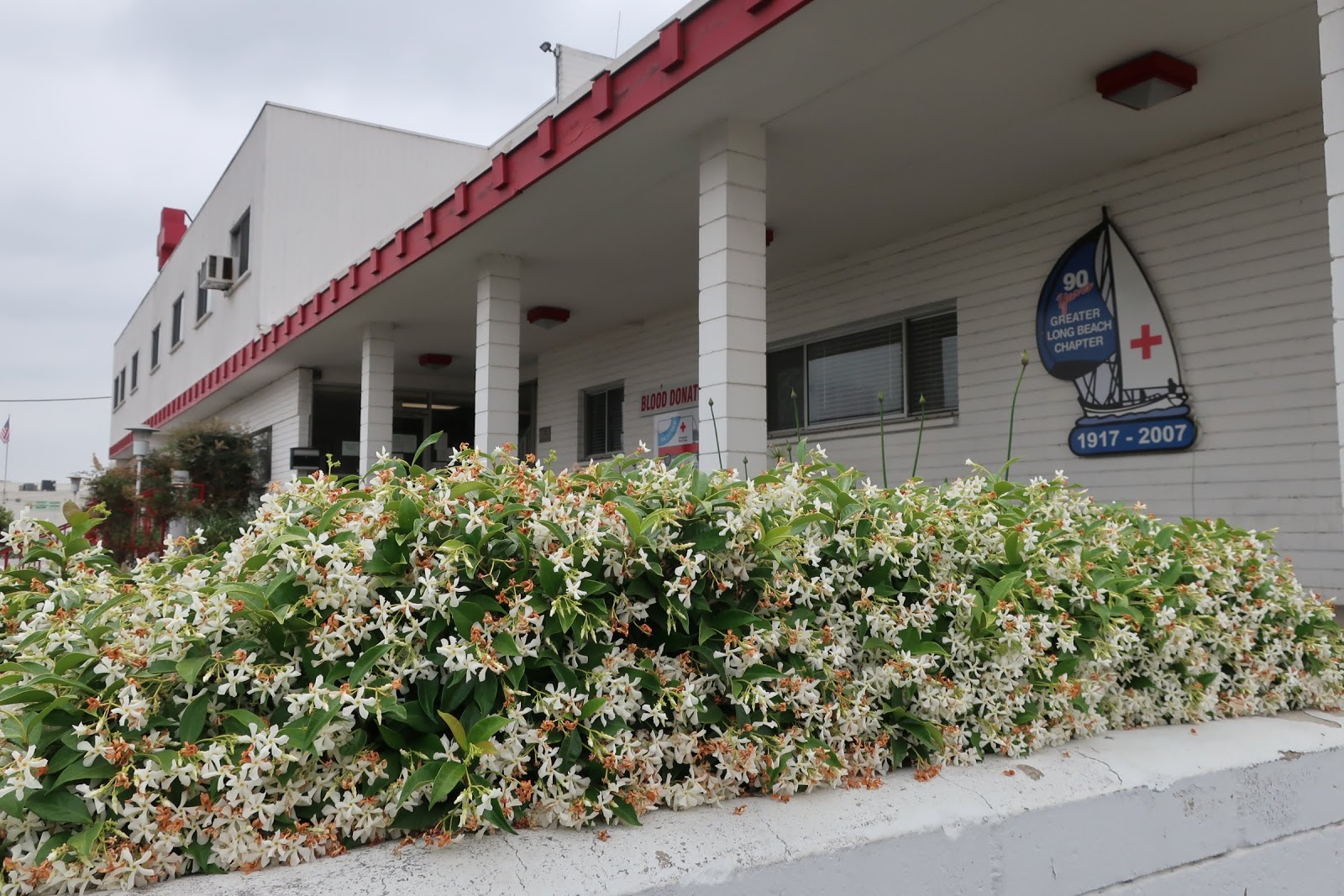 American Red Cross Blood Donation Center