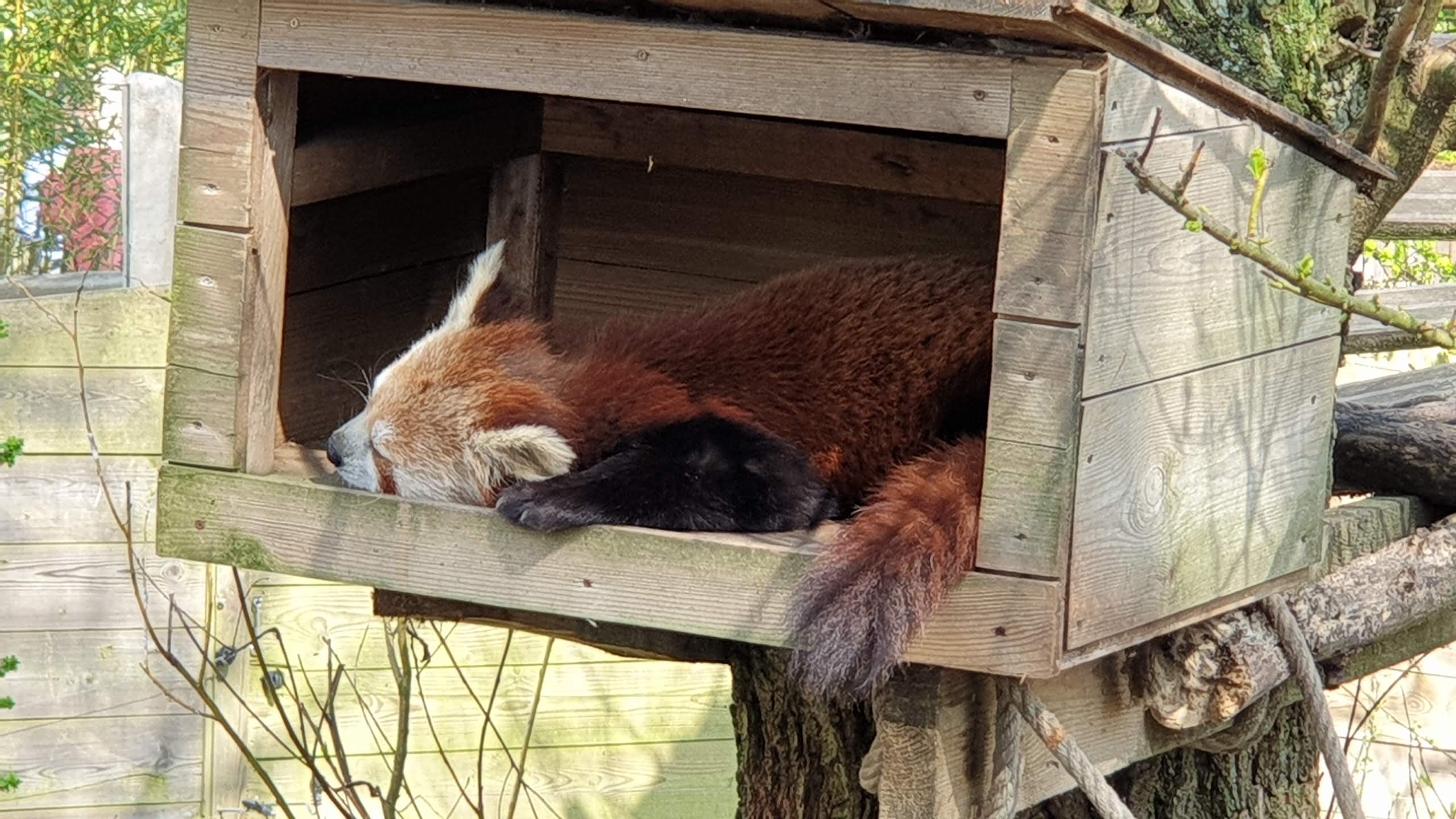 Photo n° 10 de l'avis de Simon.a fait le 05/04/2019 à 11:35