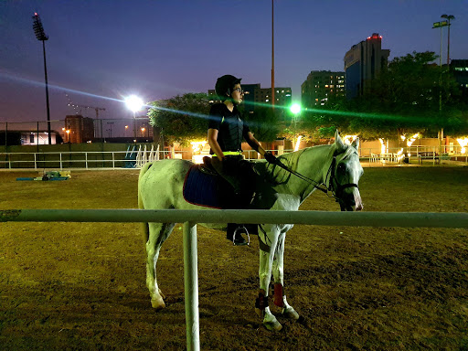 Horse riding lessons Dubai