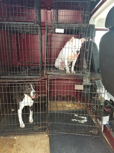 Pet Supply Store «PetSmart», reviews and photos, 1285 Johnson Ferry Rd, Marietta, GA 30068, USA