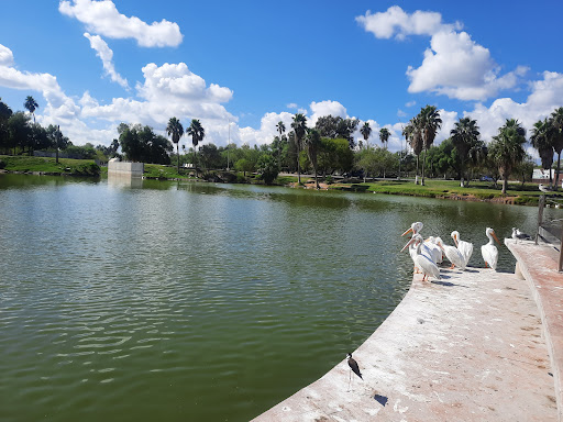 Parque Infantil El Laguito