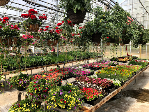 Produce Market «Dzen Garden Market», reviews and photos, 187 Windsorville Rd, Ellington, CT 06029, USA