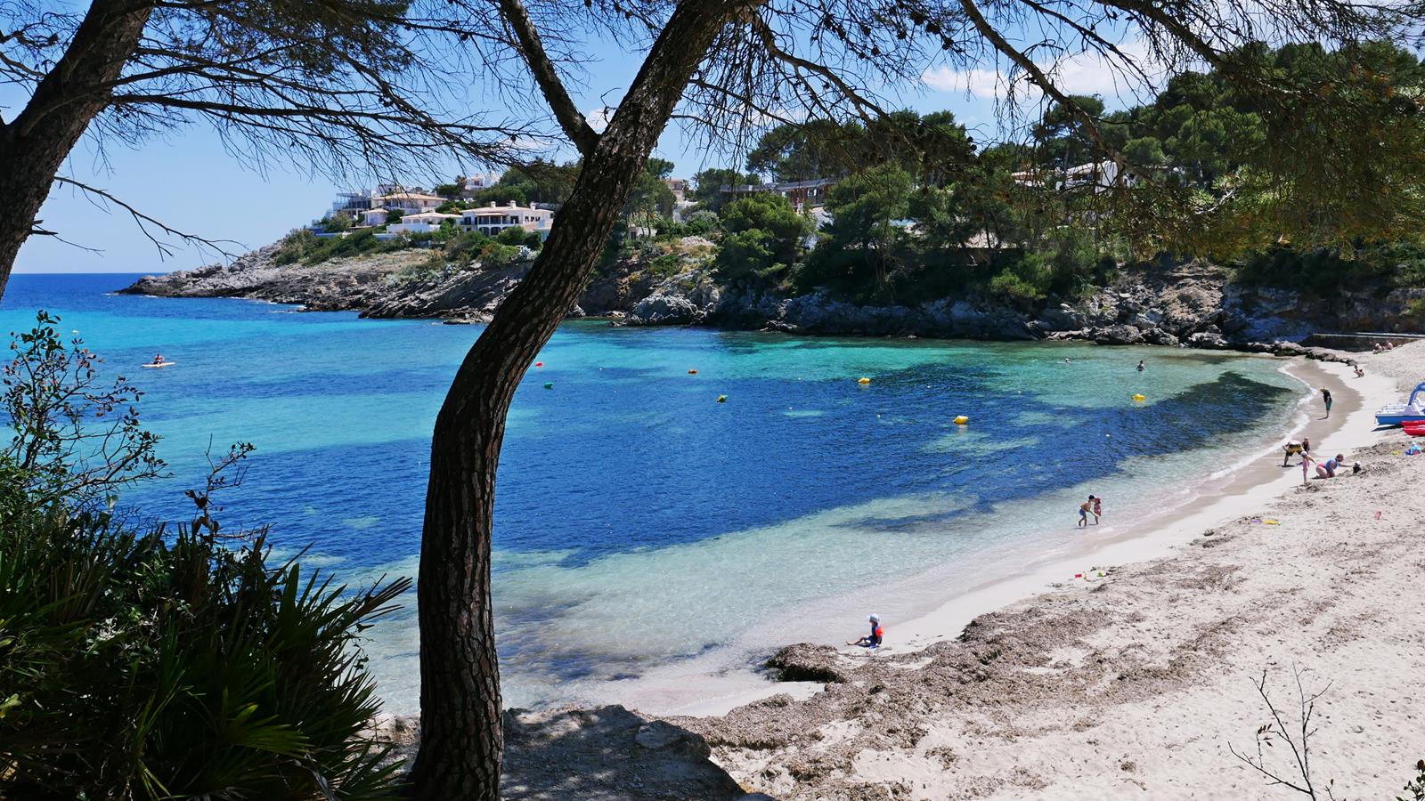 Cala Font De Sa Cala photo #7