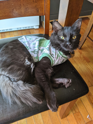 Pet Supply Store «PetSmart», reviews and photos, 3211 Peoples St, Johnson City, TN 37604, USA