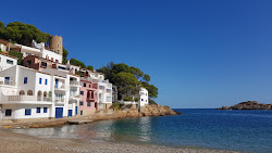 Zdjęcie Platja Sa Tuna dziki obszar