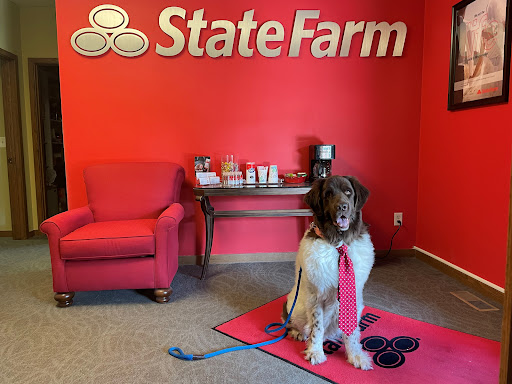 Insurance Agency «John Simeone State Farm Insurance», reviews and photos