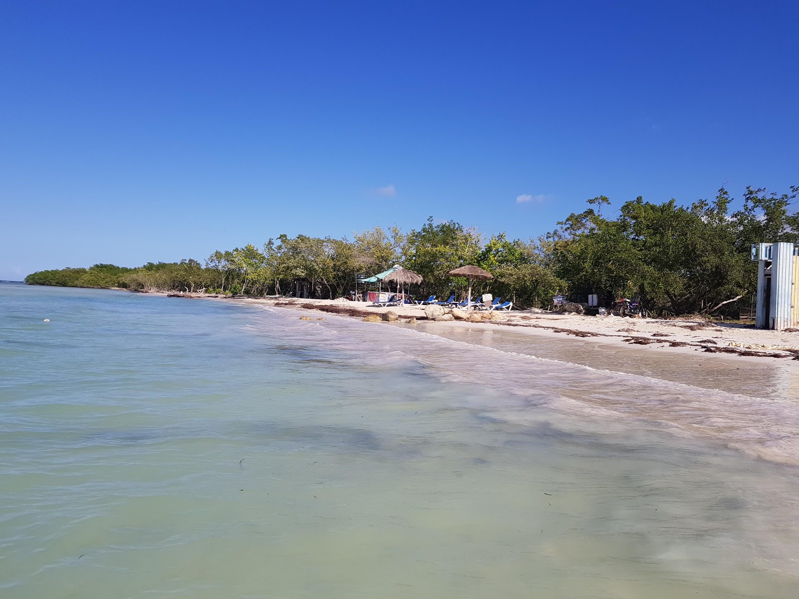 Foto de Burwood beach con playa recta