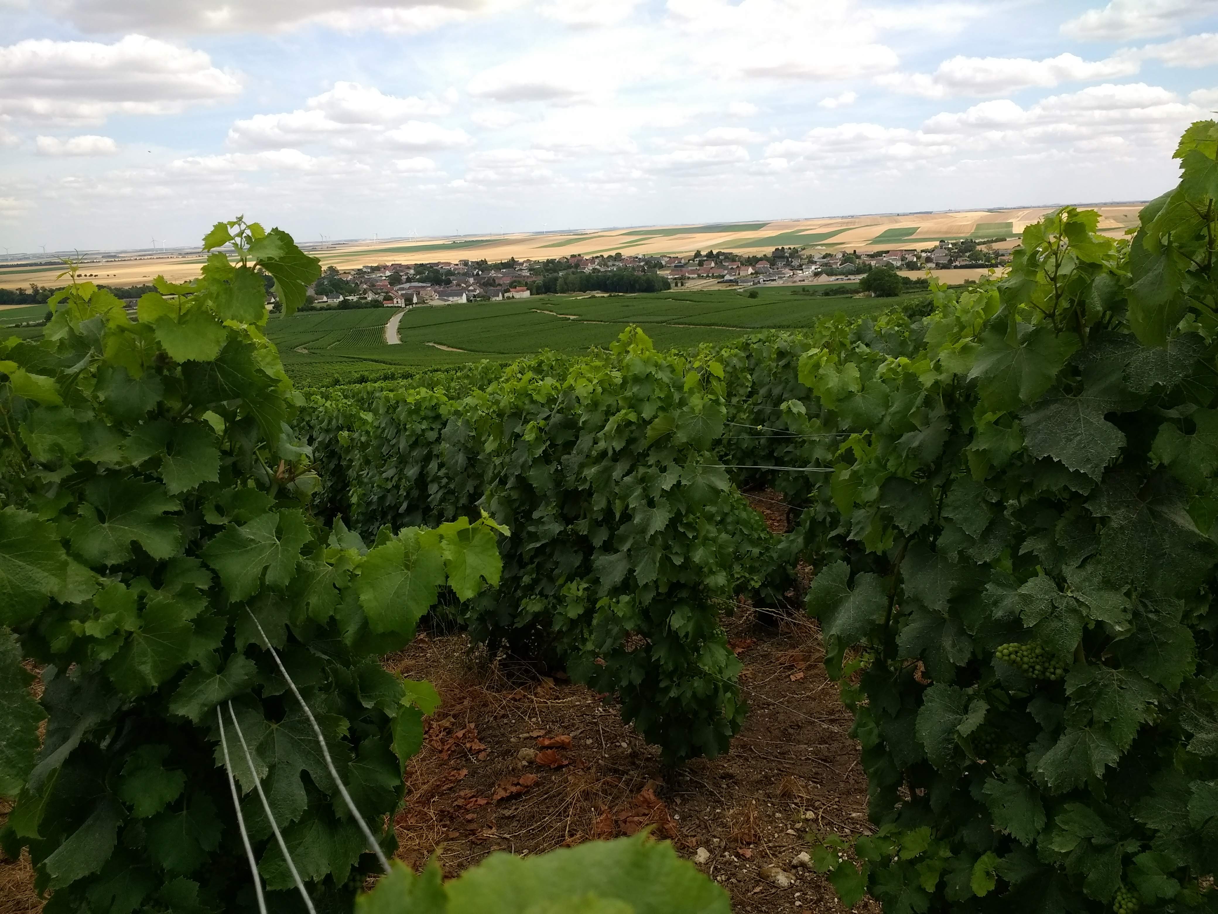 Photo n° 6 de l'avis de philippe.e fait le 21/07/2019 à 18:37