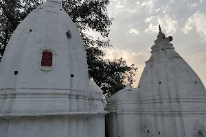 Shri Kalinath Kaleshwar Mahadev Temple image