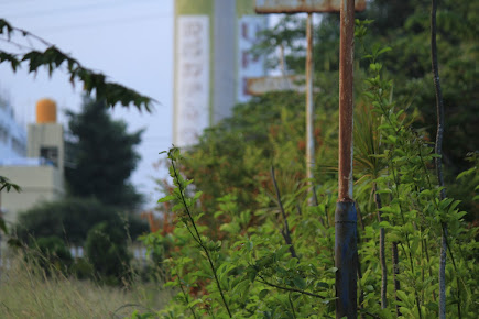 Google Maps image 19