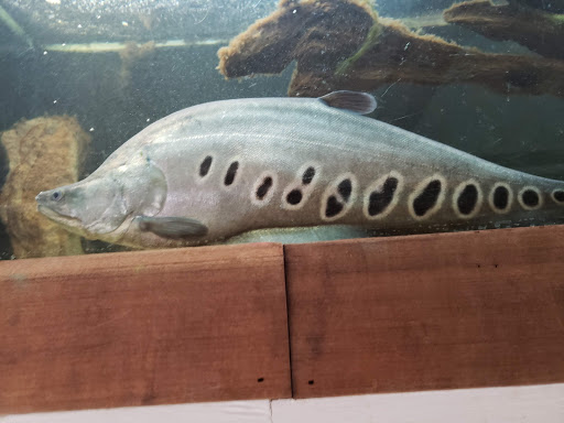 Pet Store «Pet World Warehouse Outlet», reviews and photos, 2148 W Beltline Hwy, Madison, WI 53713, USA