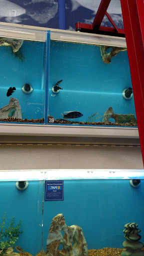 Pet Supply Store «PetSmart», reviews and photos, 21 Trader Ln, Williston, VT 05495, USA