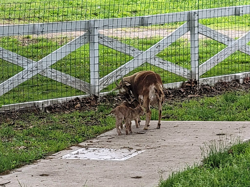 Golf Course «Drumm Farm Golf Club», reviews and photos, 15400 E 34th St S, Independence, MO 64055, USA