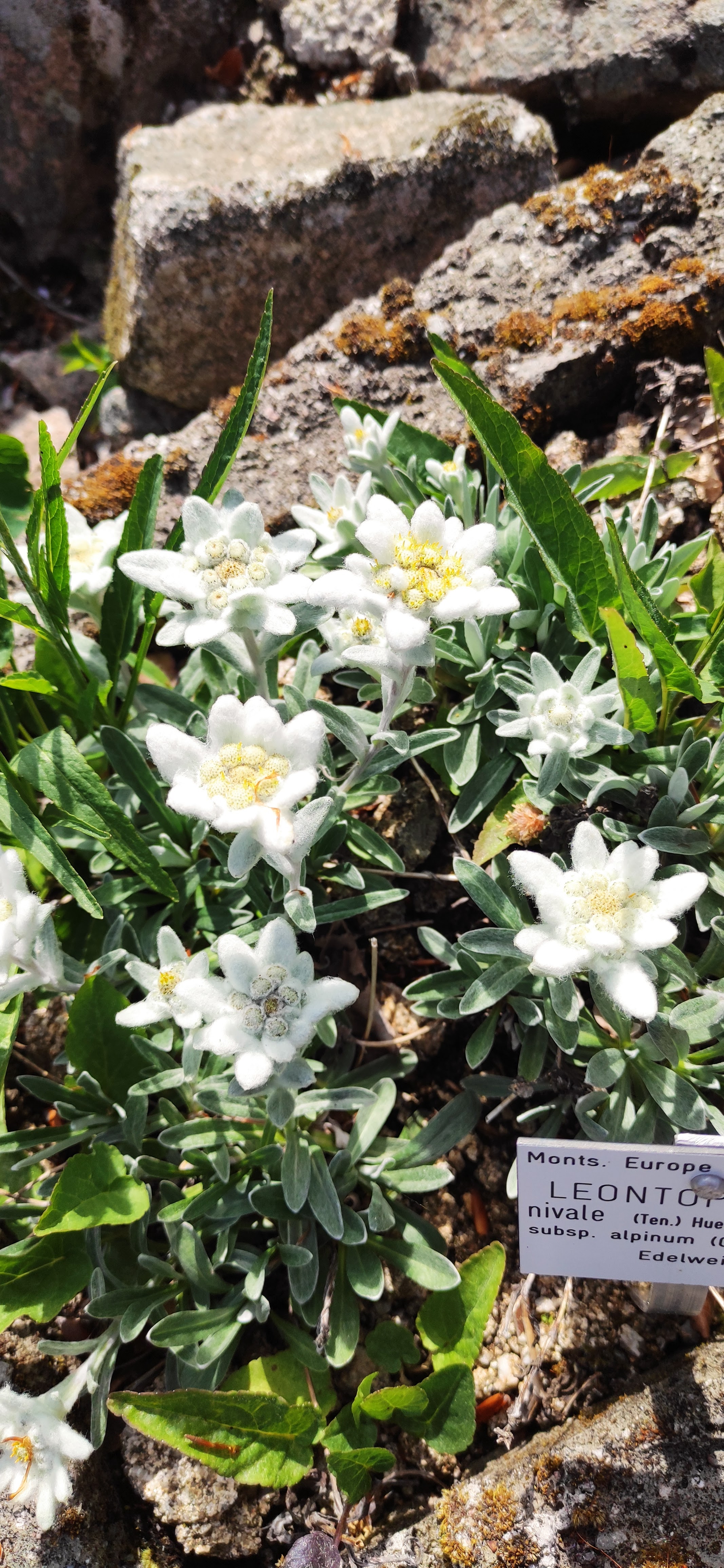 Photo n° 3 de l'avis de Monpoussin. fait le 20/06/2023 à 18:40