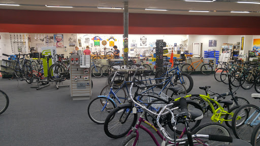 Bicycle Store «Bluebonnet Bicycles», reviews and photos, 1952 Justin Rd, Highland Village, TX 75077, USA
