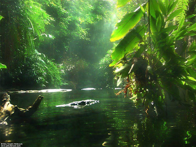 ECOSKY ENVIRONNEMENT à Brech