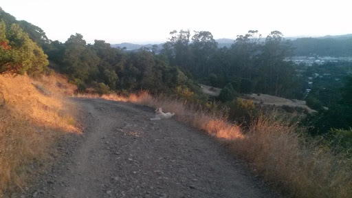 Consignment Shop «Home Consignment Center - Marin/Corte Madera», reviews and photos, 801 Tamalpais Dr, Corte Madera, CA 94925, USA