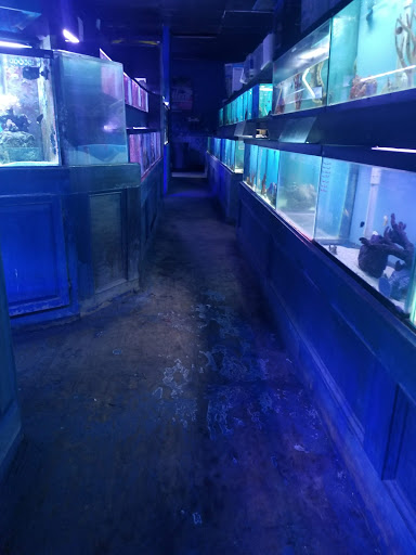 Tropical Fish Store «Ocean Gallery», reviews and photos, 980 US-22, North Plainfield, NJ 07060, USA