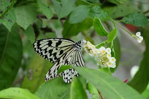 臺北市立動物園 昆蟲館 image