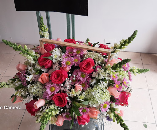 Floreria dianthus Chicoloapan – Chicoloapan de Juárez