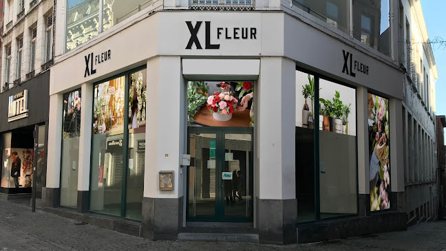 XL fleur