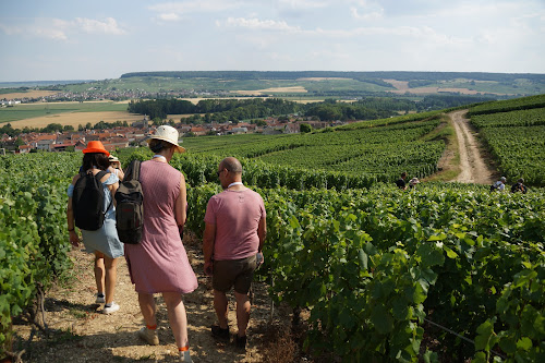 Agence de visites touristiques Au Coeur des Sens Épernay