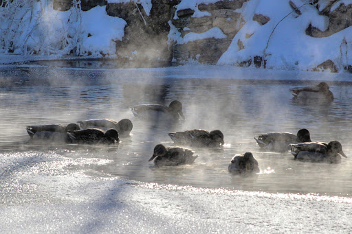 National Park «Coldwater Spring», reviews and photos, 5601 Minnehaha Park Dr S, Minneapolis, MN 55417, USA