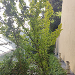 Photo n°10 de l'avis de Robert.h fait le 12/06/2023 à 20:05 sur le  Hotel Alexandra à Plauen