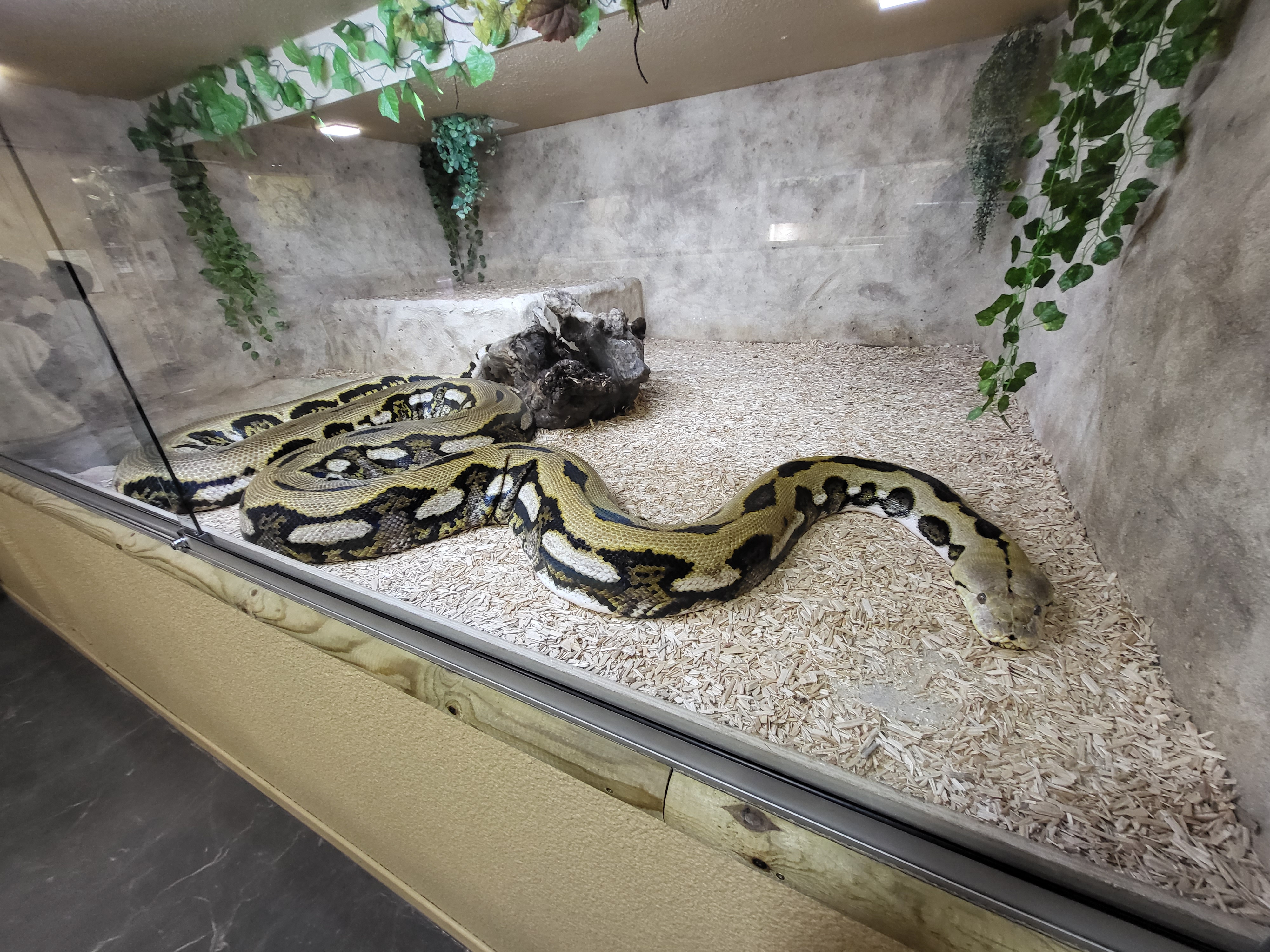 Photo n° 3 de l'avis de Jaap.a fait le 01/08/2023 à 14:43