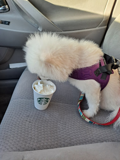 Starbucks image