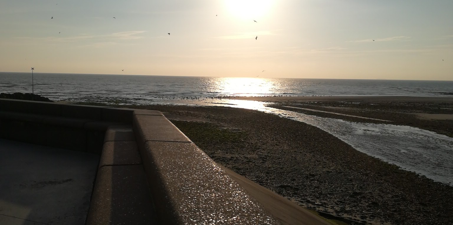 Photo n° 4 de l'avis de B.o fait le 02/07/2018 à 18:52