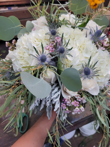 Florist «Dillon & Son Florists», reviews and photos, 180 Boston Ave, Stratford, CT 06614, USA