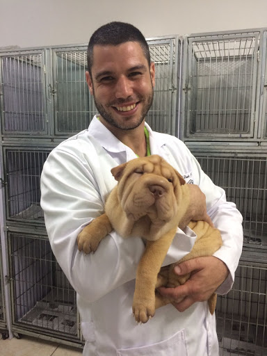 TratoCão Clínica Veterinária em São Bernardo do Campo - SP