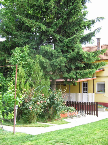 Szabadság Téri Apartman - Gyomaendrőd - Gyomaendrőd