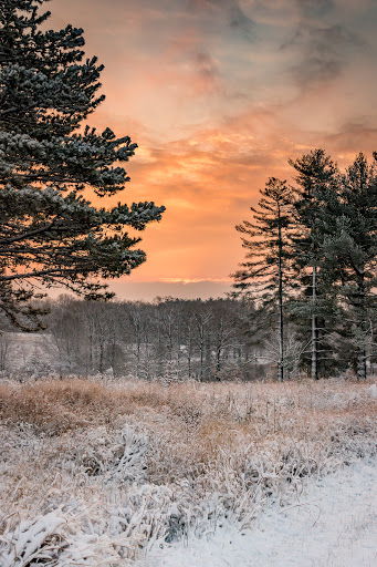 Nature Preserve «Shaw Nature Reserve», reviews and photos, 307 Pinetum Loop Rd, Gray Summit, MO 63039, USA