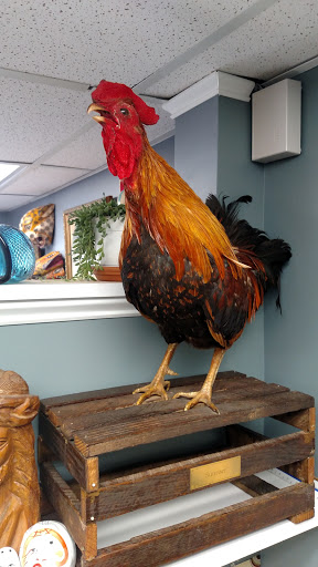 Tattoo Shop «Two Headed Dog Tattoo Studio», reviews and photos, 189 Changebridge Rd #3, Montville, NJ 07045, USA