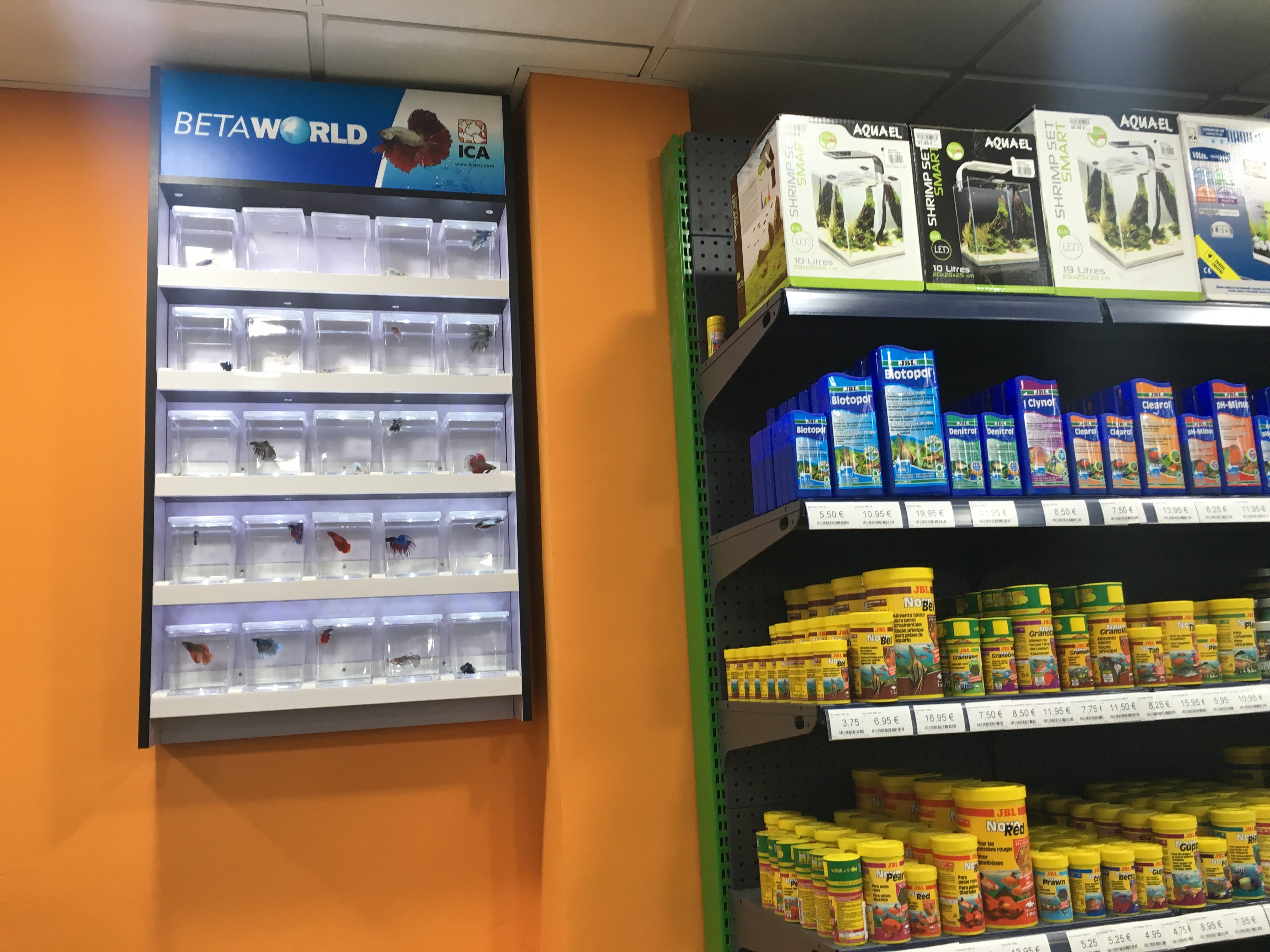 PETuluku Delicias - 19