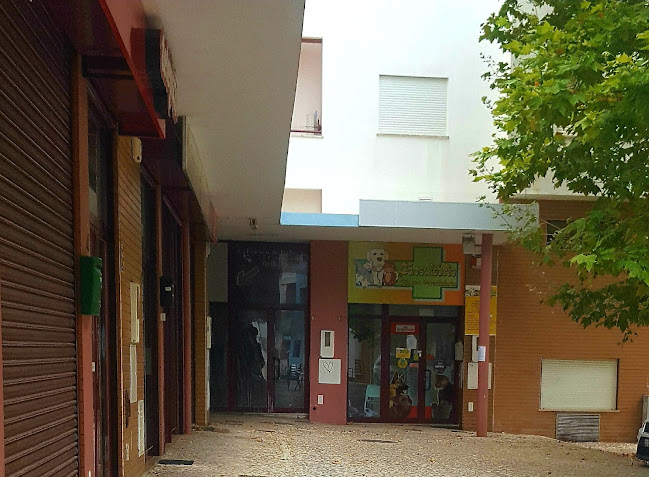 Opinii despre Cãosultório, Clinica Veterinária în Almada - Médico