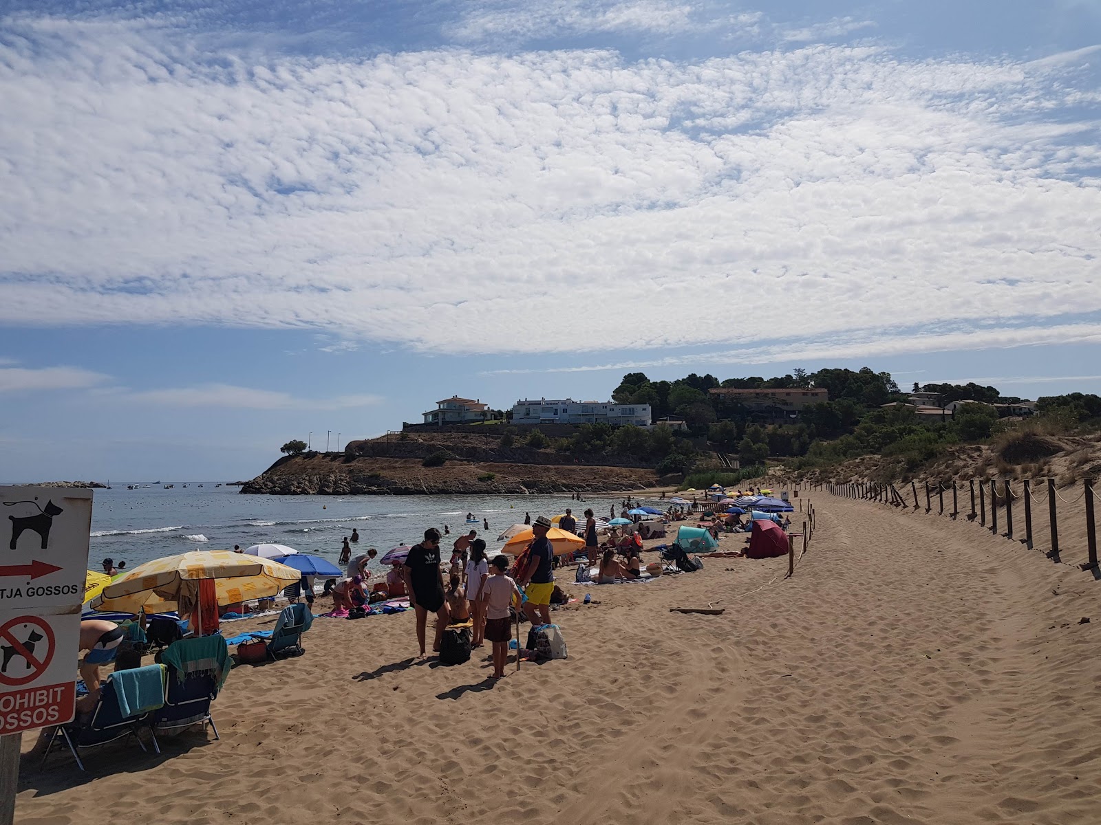 Photo of Platja El Rec del Moli with very clean level of cleanliness