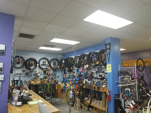 Bicycle Store «City Bike Tampa», reviews and photos, 208 E Cass St, Tampa, FL 33602, USA