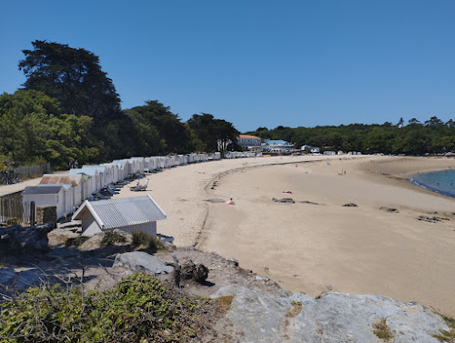 Bois de la Chaise à Noirmoutier-en-l'Île