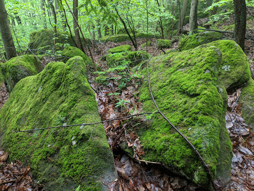 Tourist Attraction «High Rock Adventures - Hocking Hills Ecotours», reviews and photos, 10108 Opossum Hollow Rd, Rockbridge, OH 43149, USA