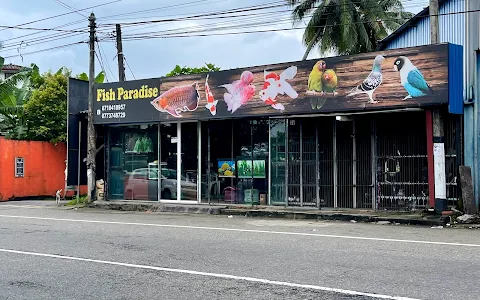 Fish Paradise image