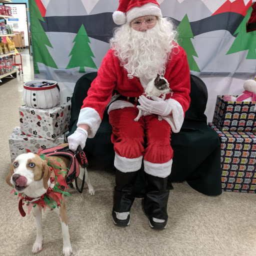 Pet Supply Store «PetSmart», reviews and photos, 3335 Cobb Pkwy NW #400, Acworth, GA 30101, USA