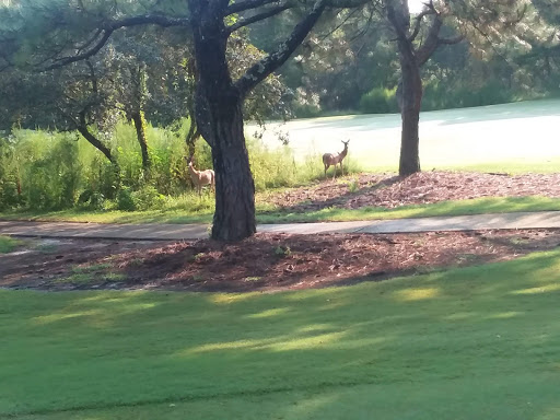 Golf Club «Santa Rosa Golf & Beach Club», reviews and photos, 334 Golf Club Dr, Santa Rosa Beach, FL 32459, USA