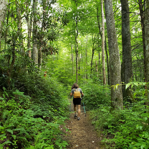 Grapeyard Ridge Trail Trailhead