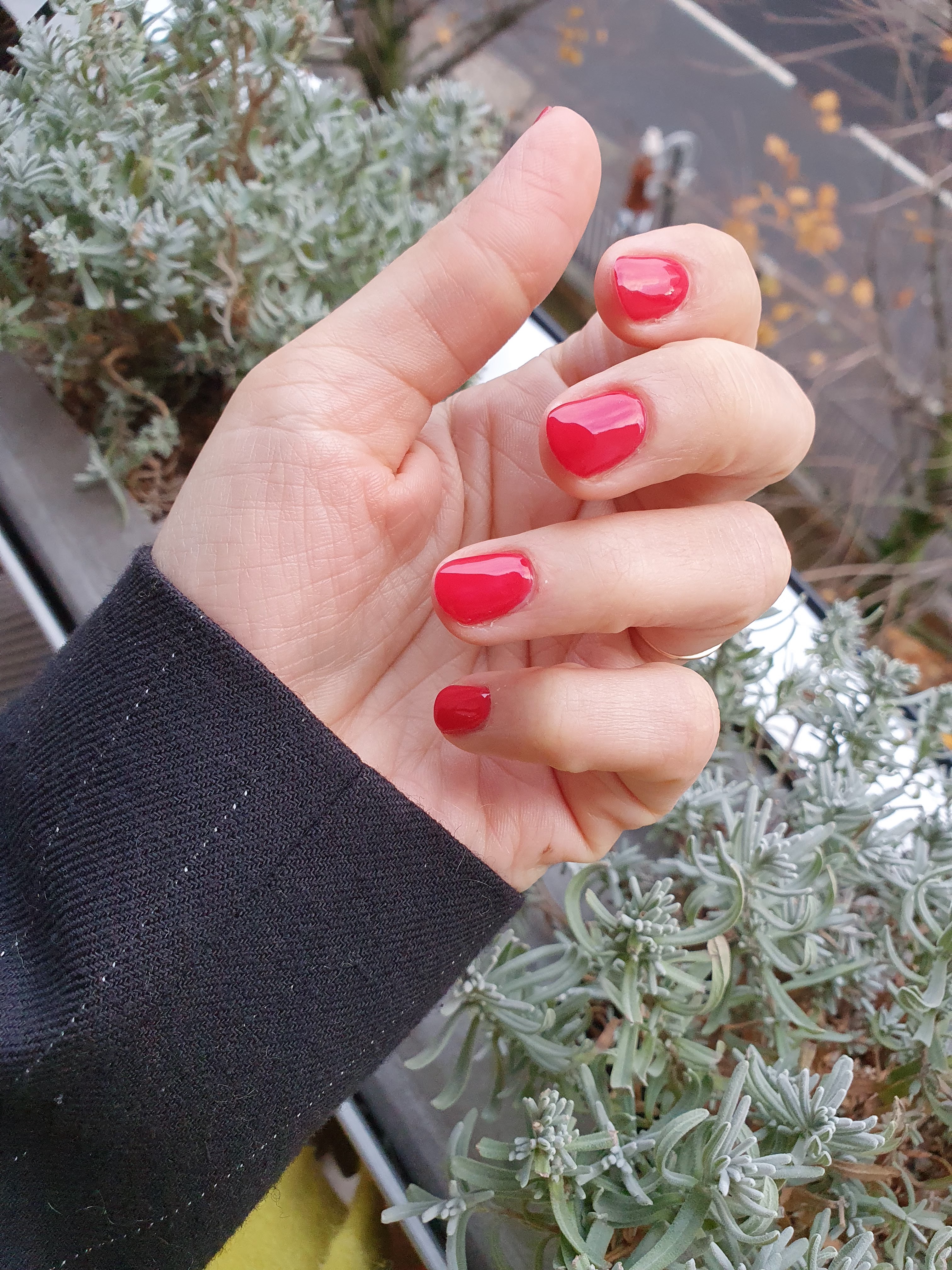 Photo n° 1 de l'avis de Galaxy.1 fait le 08/12/2023 à 15:08